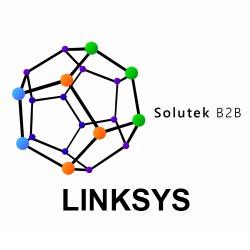 Mantenimiento preventivo de switches Linksys